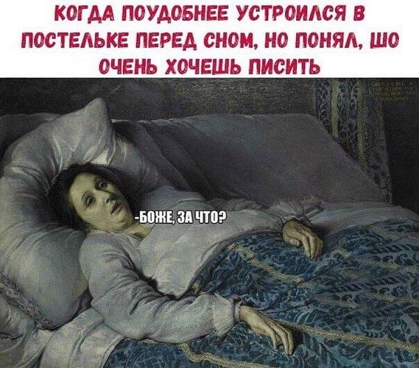 Свежие очень смешные картинки Свежие очень смешные картинки