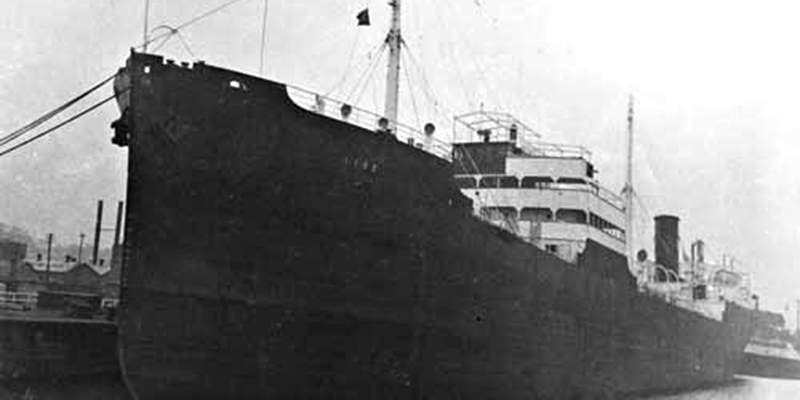 Храбрый капитан: история приключений Зигмунда Фретте