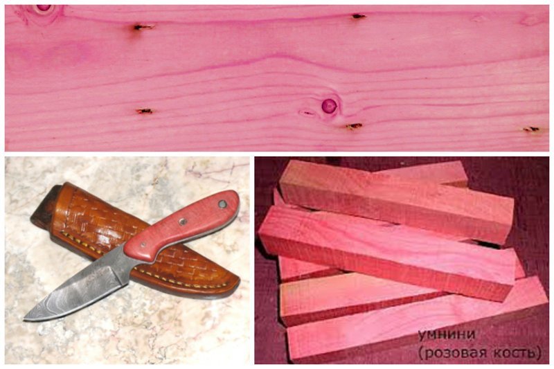 Пинк айвори (англ. pink ivory, розовая слоновая кость), умнини, умголоти — очень редкая экзотическая порода дерева из Южной Африки деревья, древесина, интересное, природа, факты