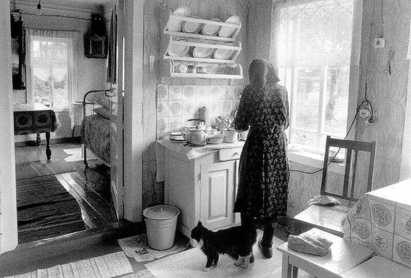 Хочу к бабушке в деревню Хочу к бабушке в деревню истории из жизни