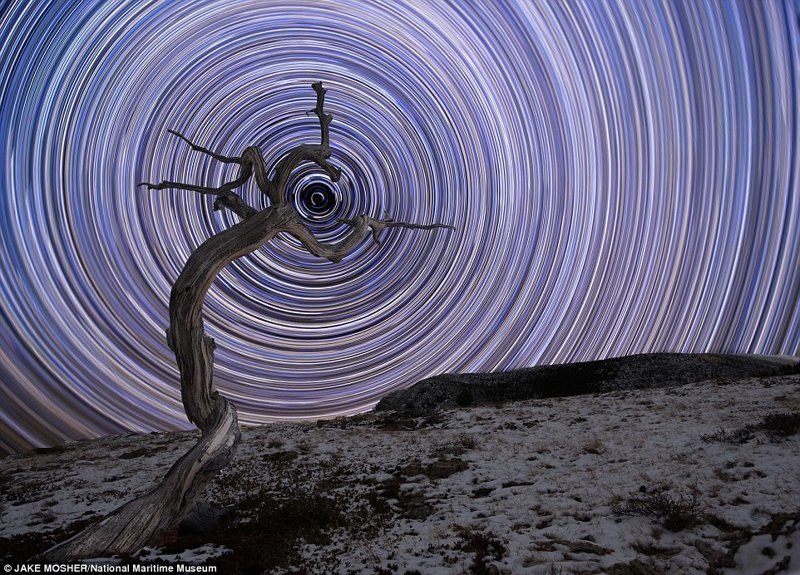 Звездный тайм-лапс с полярной звездой по центру. Джейк Мошер, США астрономия, конкурс, космос, красиво, лучшее, планеты, фото, фотографы