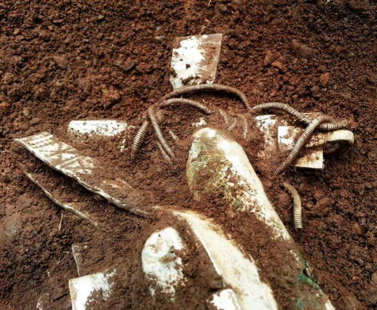 В Шотландии можно стать миллионером, отправившись на пляж В Шотландии можно стать миллионером, отправившись на пляж