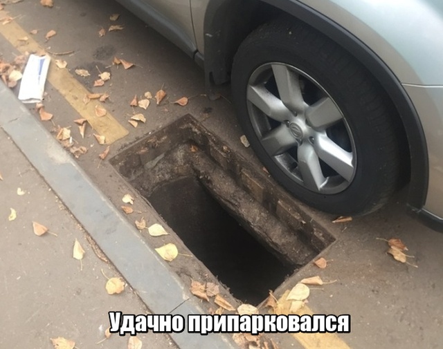 Подборка прикольных картинок Подборка прикольных картинок позитив