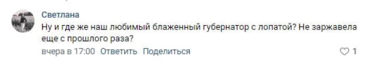 Петербуржцы пожаловались на непроходимость дорог в центре города из-за неубранного снега Петербуржцы пожаловались на непроходимость дорог в центре города из-за неубранного снега Общество