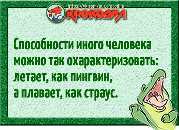 Юмор из интернета 724 Юмор из интернета 724 позитив,смех,улыбки,юмор