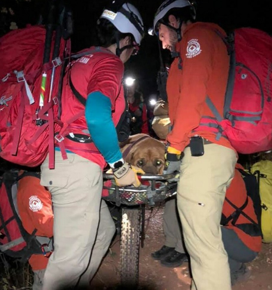 Спасательный отряд спустил с горы пострадавшую собаку горы,путешествие,спасение собаки,туризм