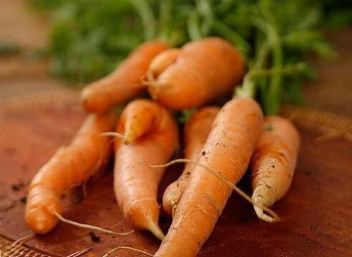 Как приготовить морковь по-корейски в домашних условиях. 01
