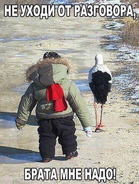 Старушка на скамейке у подъезда должна успеть в этой жизни сделать три вещи...