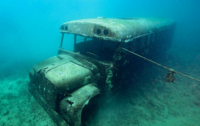 Один из самых оригинальных подводных экспонатов. /Фото: sportdiver.com