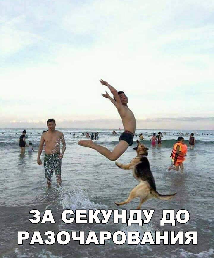 Ржачные приколы картинки с надписями за жизнь
