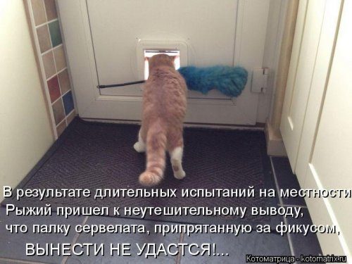 Ð£Ð¼Ð¾Ñ€Ð¸Ñ‚ÐÐÑŒÐ½Ñ‹Ð ÐºÐ¾Ñ‚Ð¾Ð¼ÐÑ‚Ñ€Ð¸Ñ†Ñ‹ Ð´ÐÑ Ð¾Ñ‚ÐÐ¸Ñ‡Ð½Ð¾Ð³Ð¾ Ð½ÐÑÑ‚Ñ€Ð¾ÐÐ½Ð¸Ñ