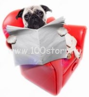 Пес-читатель