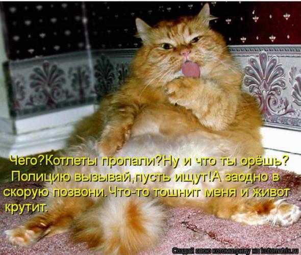 Котоматрицы