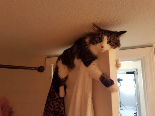 Небольшая подборка приколов Небольшая подборка приколов