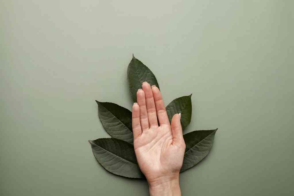 О чем говорят ваши руки: ваши пальцы и ладони могут рассказать о болезнях