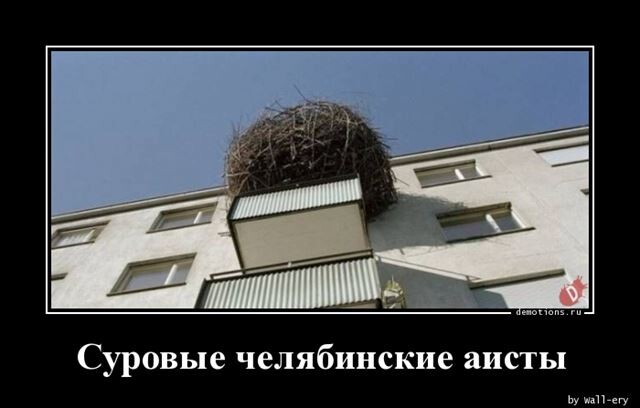 Ежедневная порция позитива и хорошего настроения! Ежедневная порция позитива и хорошего настроения!