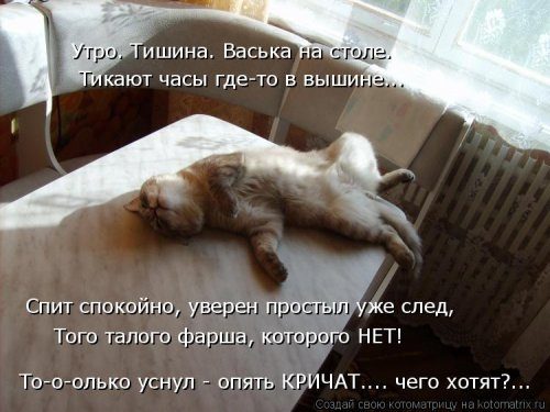 Ð£Ð¼Ð¾Ñ€Ð¸Ñ‚ÐÐÑŒÐ½Ñ‹Ð ÐºÐ¾Ñ‚Ð¾Ð¼ÐÑ‚Ñ€Ð¸Ñ†Ñ‹ Ð´ÐÑ Ð¾Ñ‚ÐÐ¸Ñ‡Ð½Ð¾Ð³Ð¾ Ð½ÐÑÑ‚Ñ€Ð¾ÐÐ½Ð¸Ñ