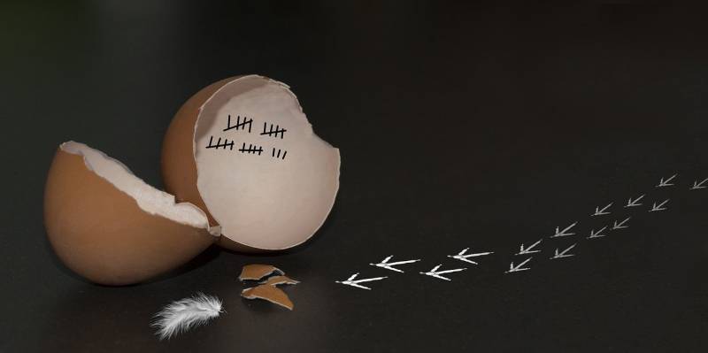 Демократия в либеральной России