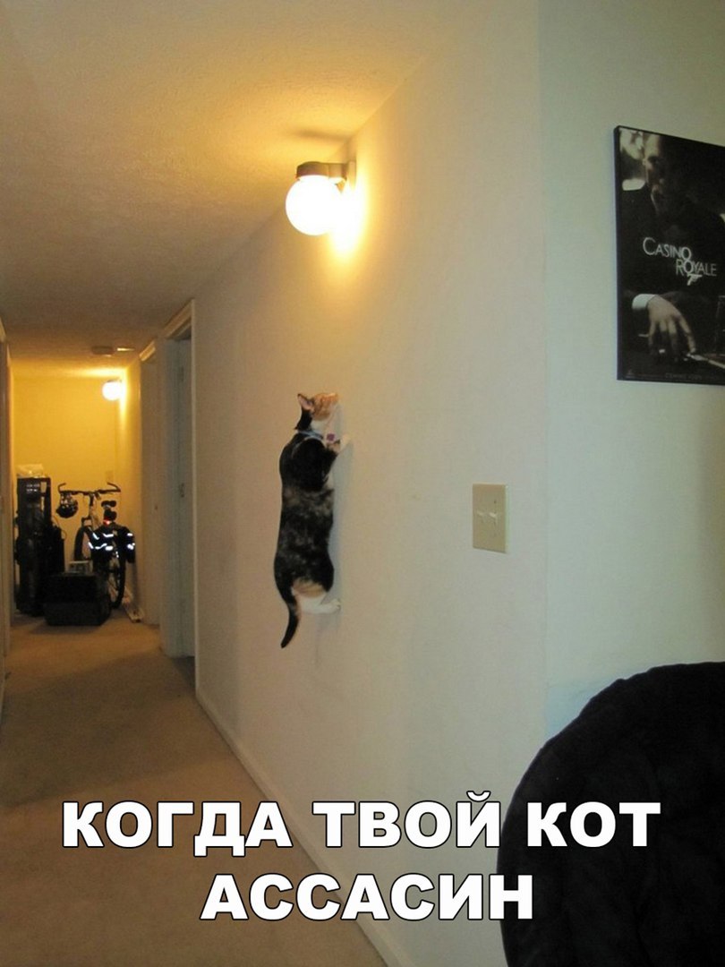 Веселые картинки и фото приколы с надписью из жизни Веселые картинки и фото приколы с надписью из жизни