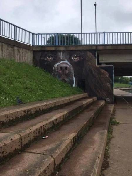 Подборка прикольных фото  (106 фото)