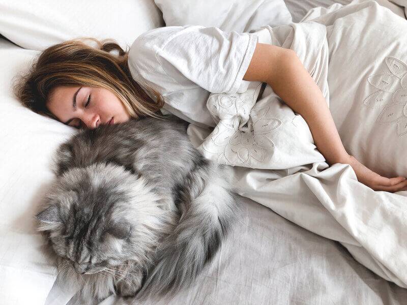 Почему коты любят спать с женщинами, а не с мужчинами Поэтому, меньше, всегда, скорее, рядом, любят, женщины, спать, теплое, почему, половину, всего, младенца, сопоставимые, по размерам, вы мужчина, с грудным, ребенком, бессовестно, пользуются
