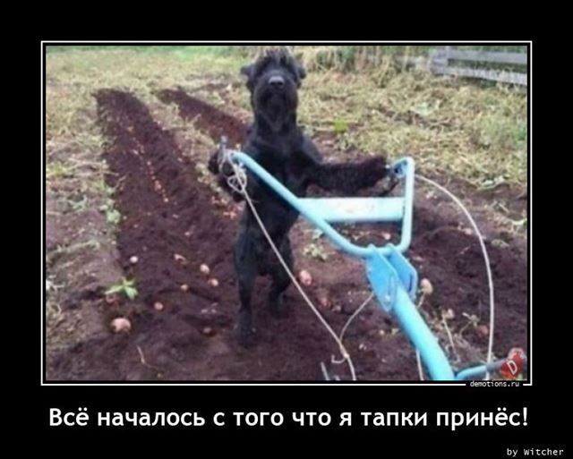 Ежедневная порция позитива и хорошего настроения! Ежедневная порция позитива и хорошего настроения!