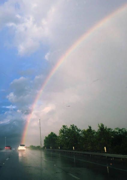 Подборка прикольных фото  (106 фото)