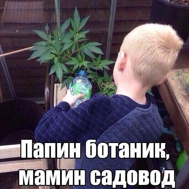 Очередная подборка картинок с подписями картинки с подписями, подборка, юмор