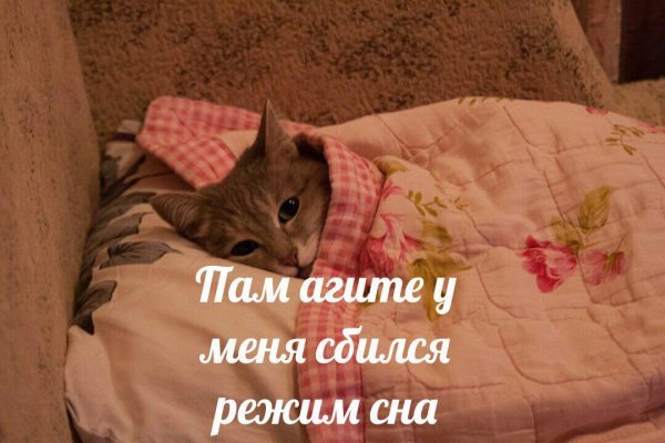 Нестандартный юмор :)