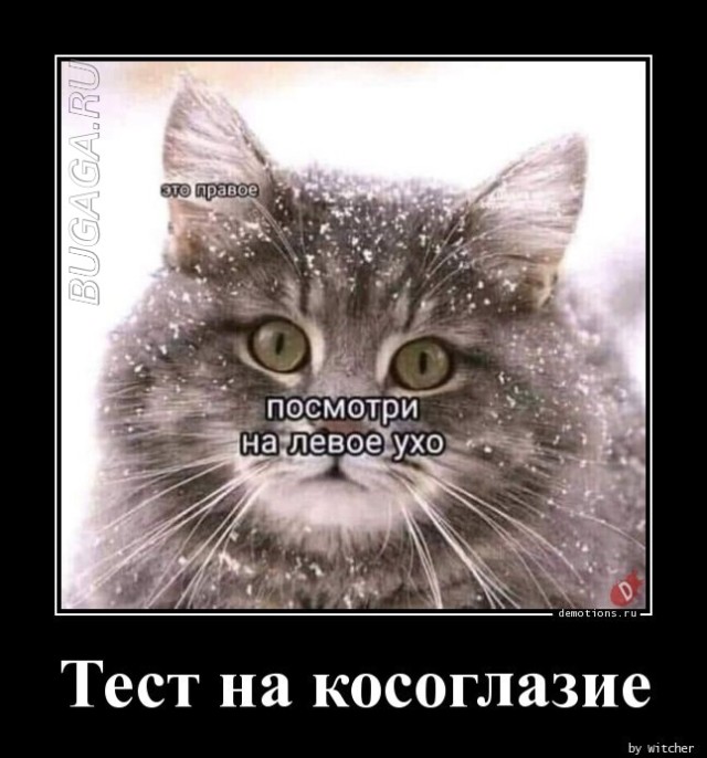 Демотиваторы дня: «Овощ, который знает ВСЁ!»  