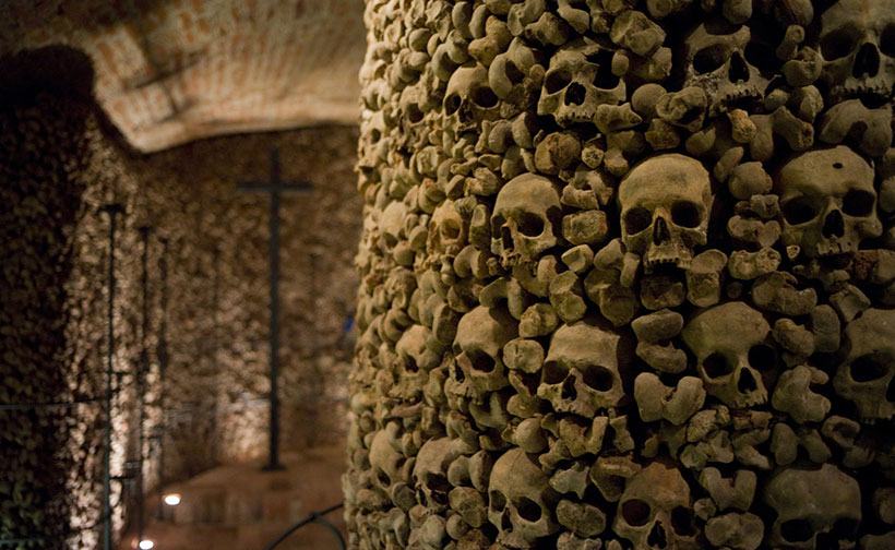 Культ черепа в истории человечества 