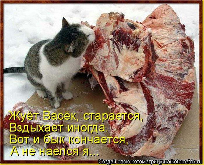 Мысли вслух :)