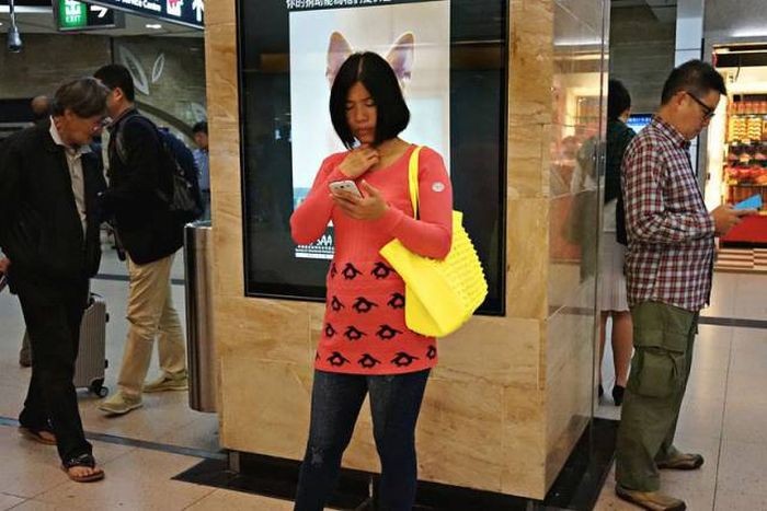 Подборка прикольных фото  (106 фото)