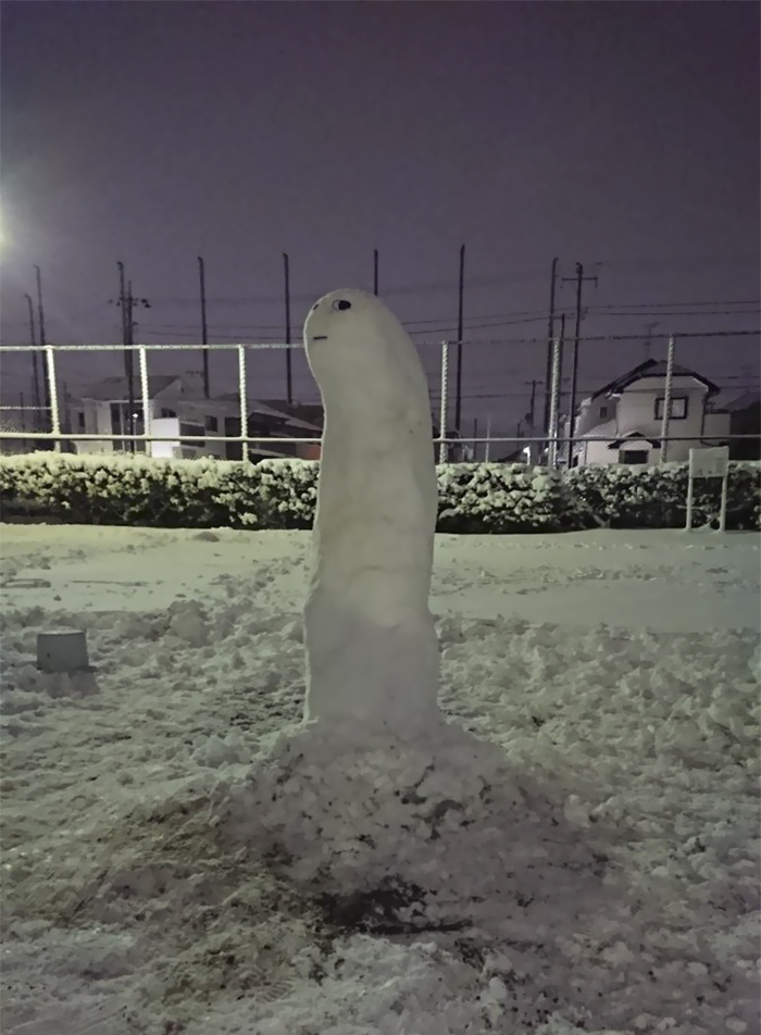 Heavy Snow Tokyo