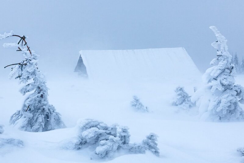 Дожить до небывалой вьюги... (Сергей Шелковый) / Проза.ру