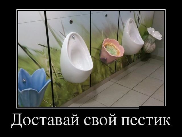 Утренние демотиваторы для веселья и позитива (11 фото)