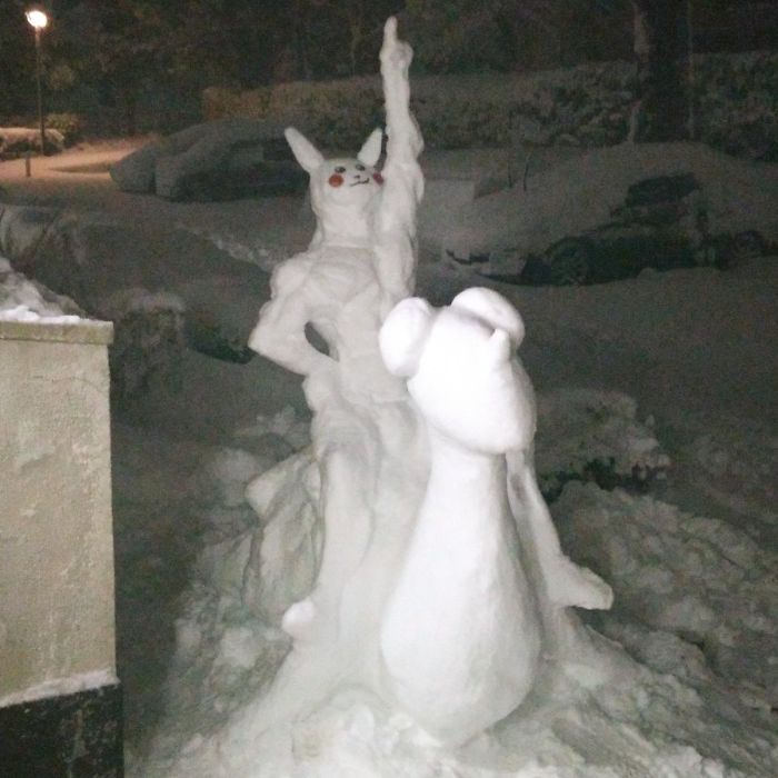 Heavy Snow Tokyo