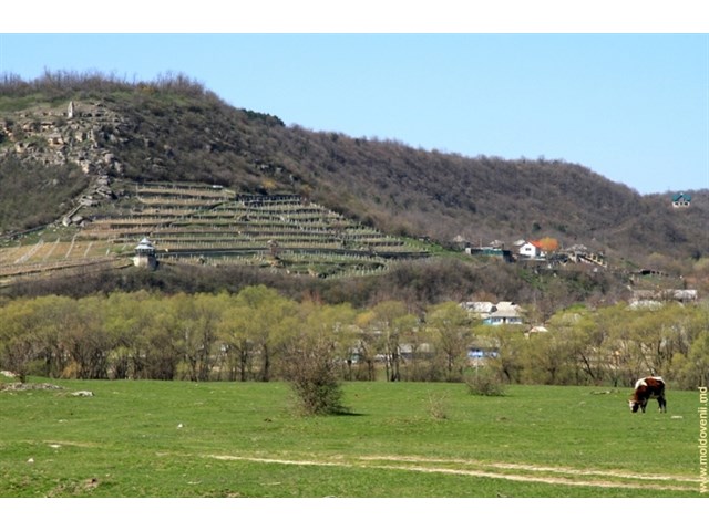 Приднестровье. Маленькая гордая страна Приднестровье. Маленькая гордая страна геополитика