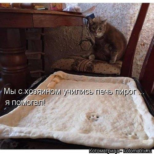 Новая котоматрица  