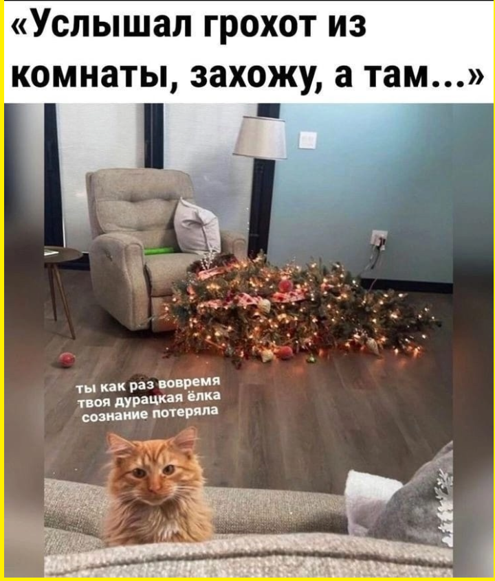 Прикольные картинки с веселыми подписями 