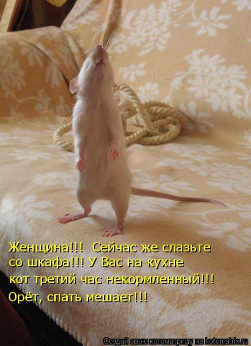 Мысли вслух :)