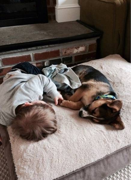 Подборка прикольных фото  (106 фото)