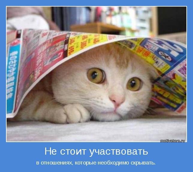 Прикольные и веселые мотиваторы для позитива и радостного настроения 