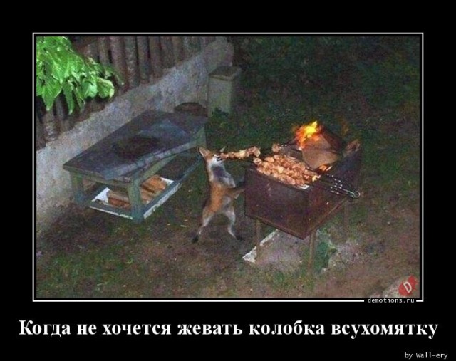 Демотиваторы дня: «Овощ, который знает ВСЁ!»  