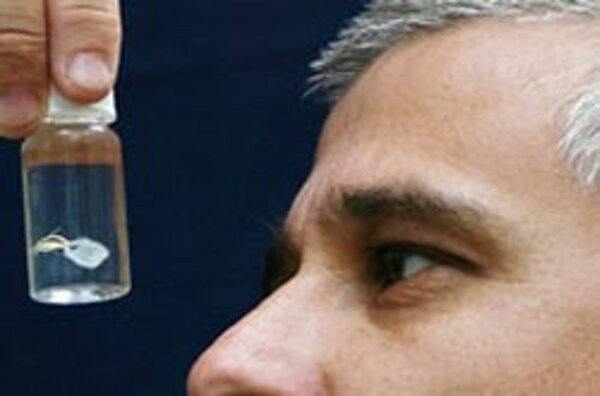 Одно из самых опасных существ на планете Одно из самых опасных существ на планете интересное,наука,познавательно,факты