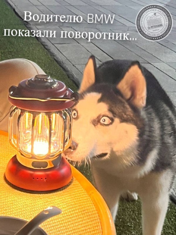Поворотник
