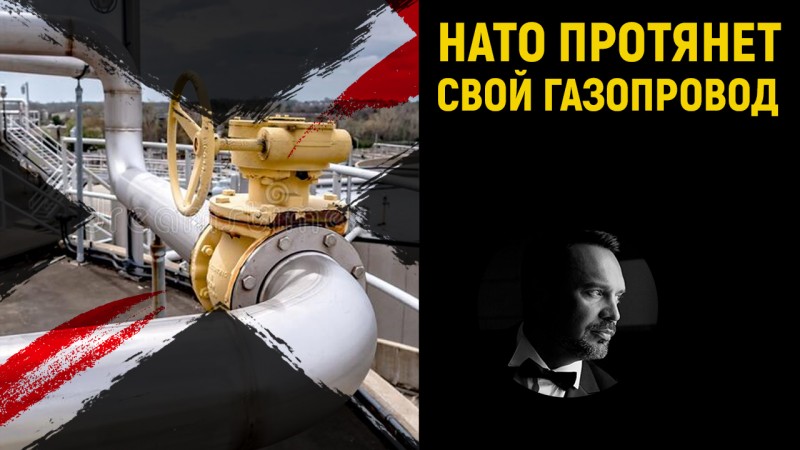Ау, Грета! НАТО лоббирует испано-французский газопровод