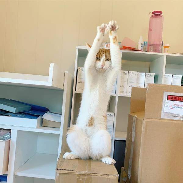 Если от вас ушла жена к соседу, не отчаивайтесь: теперь вы — сосед! Если от вас ушла жена к соседу, не отчаивайтесь: теперь вы — сосед! анекдоты,веселые картинки,приколы,юмор