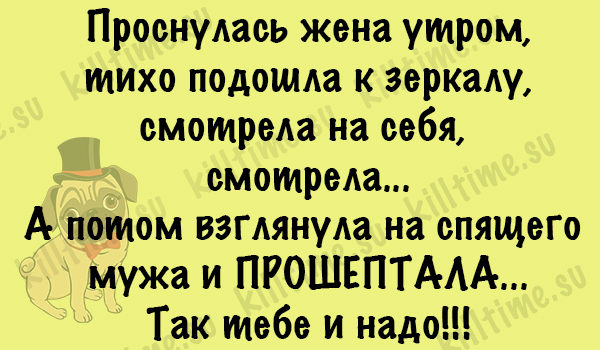 Бесподобная подборка анекдотов 