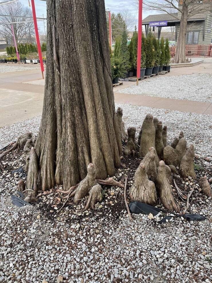 Фотография: 40 отборных картинок для того, чтобы немного отвлечься №31 - BigPicture.ru